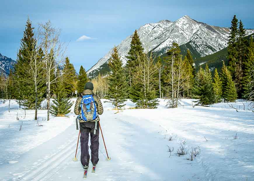 Great cross country skiing near Calgary on the Bill Milne Trail