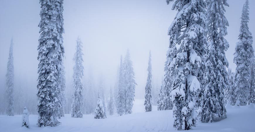 An incredible winter wonderland at the top of Silver Star Resort