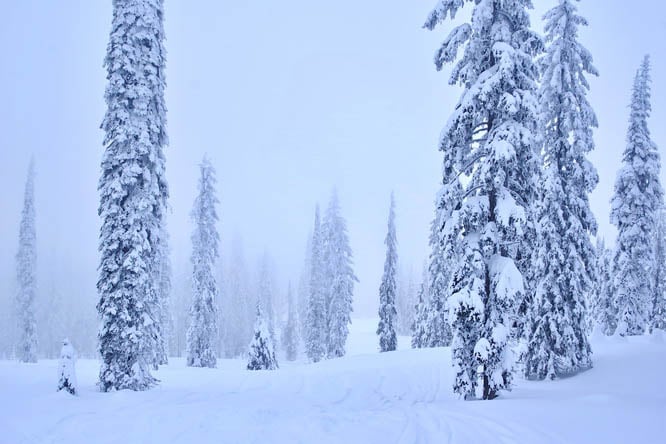 An incredible winter wonderland at the top of Silver Star Resort