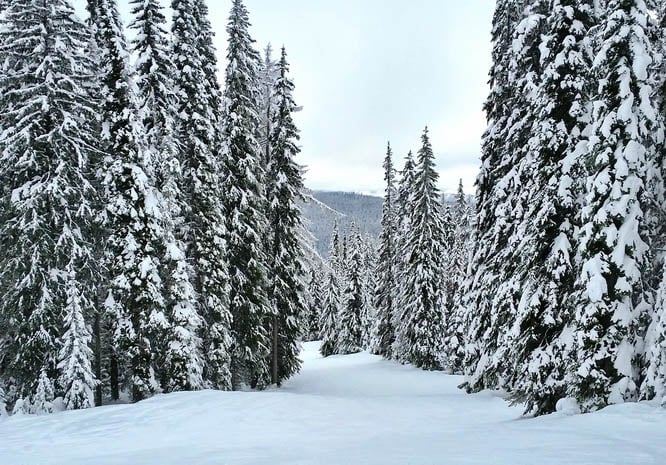 Silver Star Mountain Resort - Granted it was a weekday but I had the hill to myself
