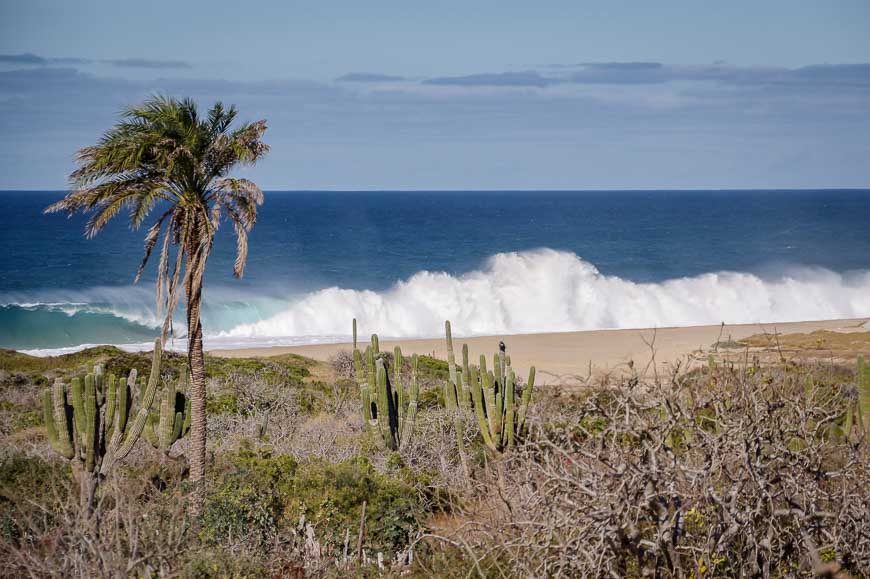 Mountain biking along a stretch of undeveloped coastline near Cabo