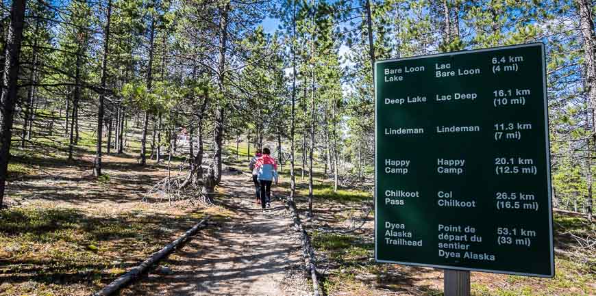 An easy section of the Chilkoot Trail hike near Bennett Lake