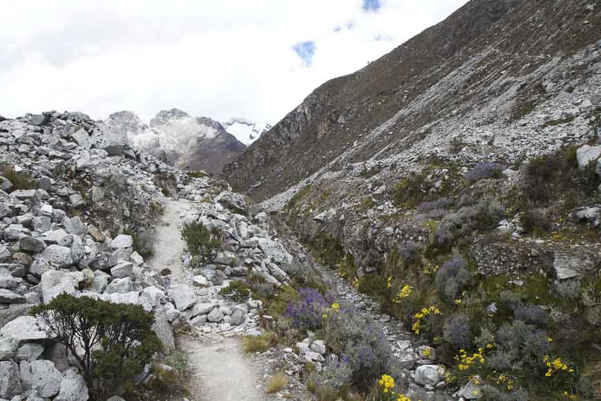One of the best treks in the world is the spectacular Cordillera Blanca