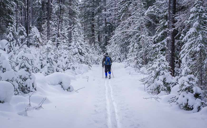 Beautiful skiing on fresh snow to the Natural Bridge