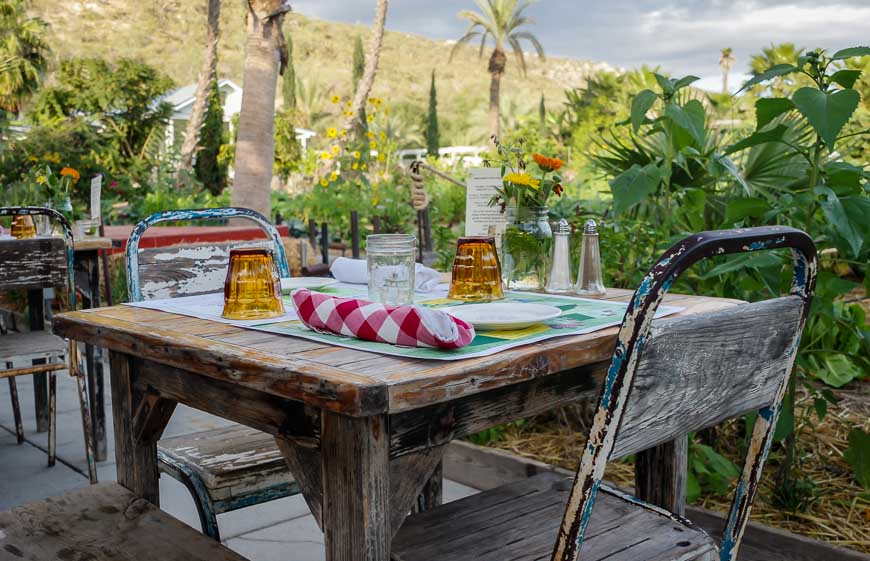 Rustic table, gorgeous setting