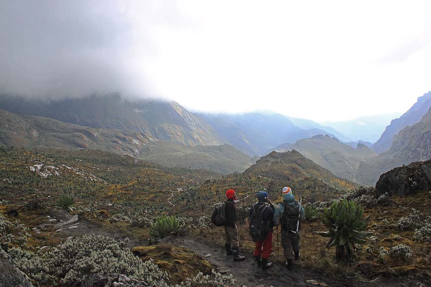 Trekking in the Rwenzori Mountains - Photo credit: Jorn Eriksson on Flickr