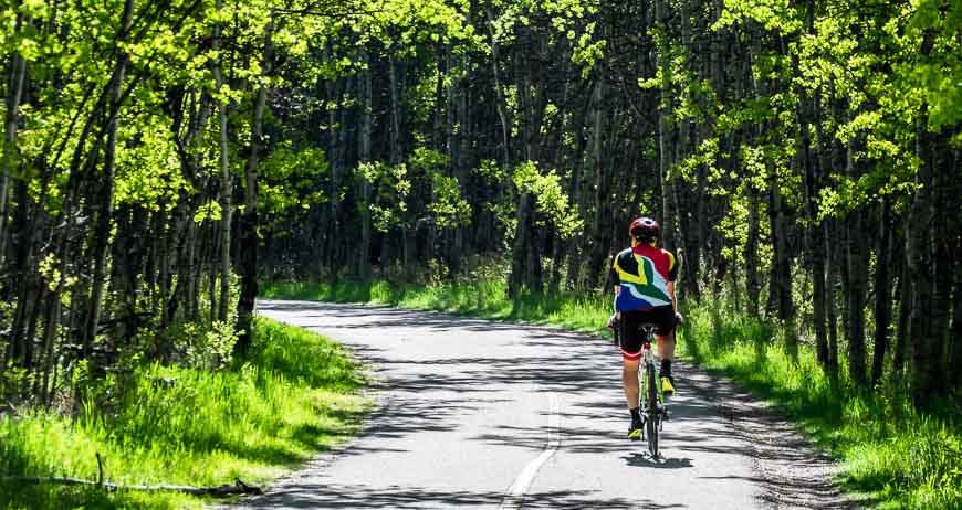 Biking around the Glenmore Reservoir through a lush, green section