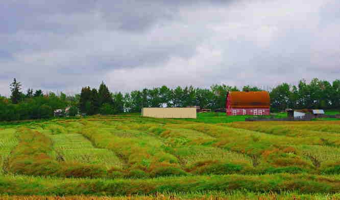 10 of the Best Bike Rides within 75 Minutes of Calgary