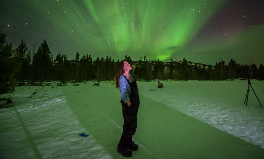 In awe of the Yukon Northern Lights display