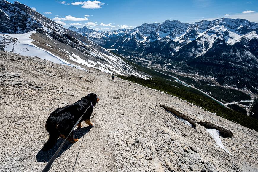 Ha Ling Peak Hike near Canmore