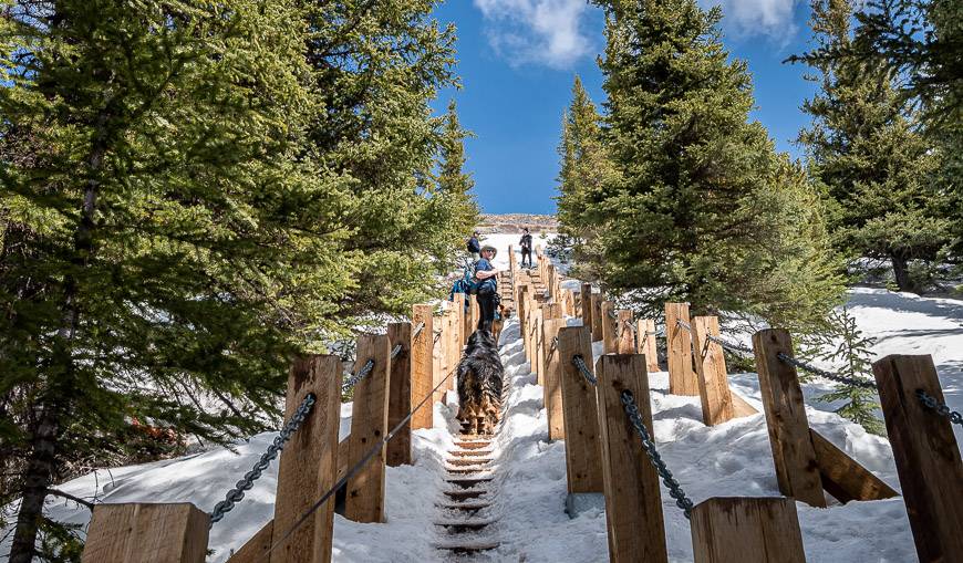 Looking up the stairs on Ha Ling