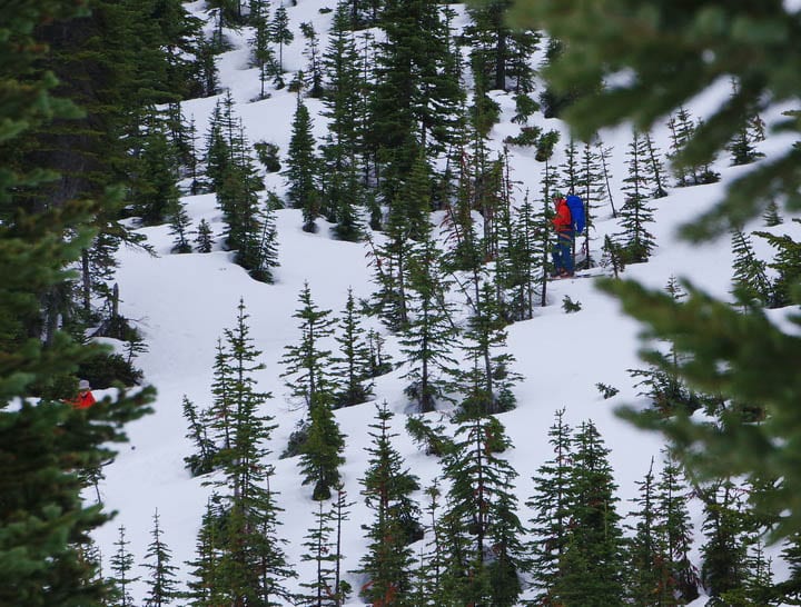 Almost through the worst of the steeps in the trees but little did I know there was still plenty left to scare on the Wapta Traverse