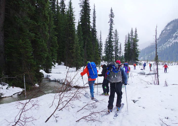 Looking for a way across the river on the Wapta Traverse