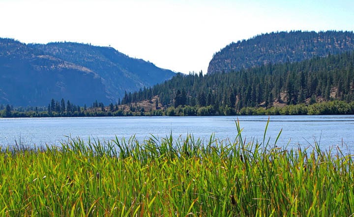 5 of the Best Bike Rides You'll Want to do in the South Okanagan