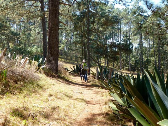 Hiking Among the Zapatecas in Mexico’s Sierra Norte Mountains