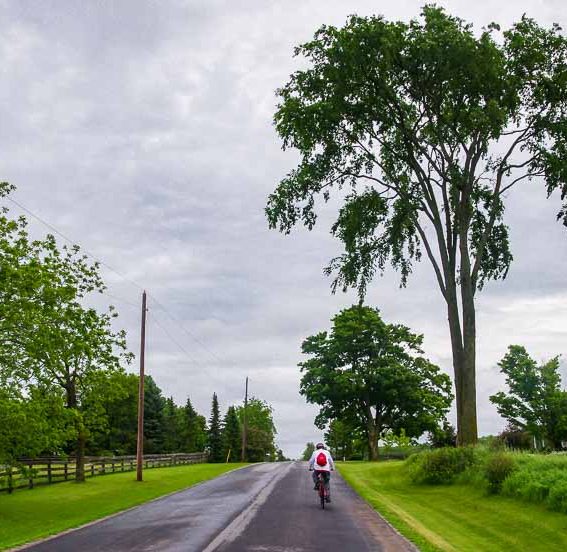 Quiet back roads are the hallmark of a Peterborough cycling trip