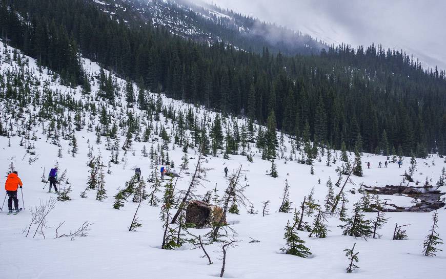 Easy skiing towards Sherbrooke Lake