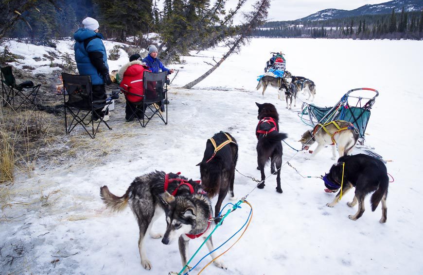 Our lunch stop and break from Yukon dogsledding on the shores of the Takhini River
