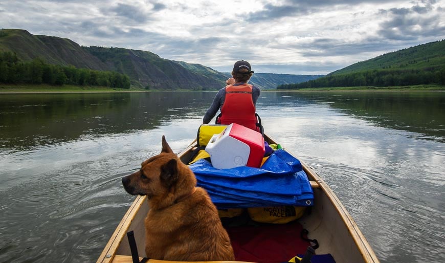 Off the beaten path Alberta with our dog on the Peace River