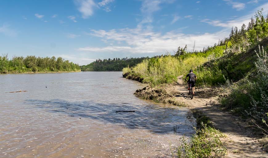 Biking in Edmonton on singletrack beside the river