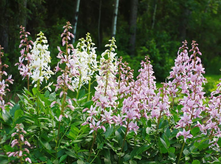 A Visit to the Devonian Garden Makes a Great Day Trip from Edmonton