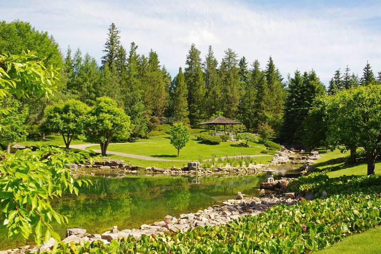 Botanical gardens in Edmonton - a study in green in the Japanese garden