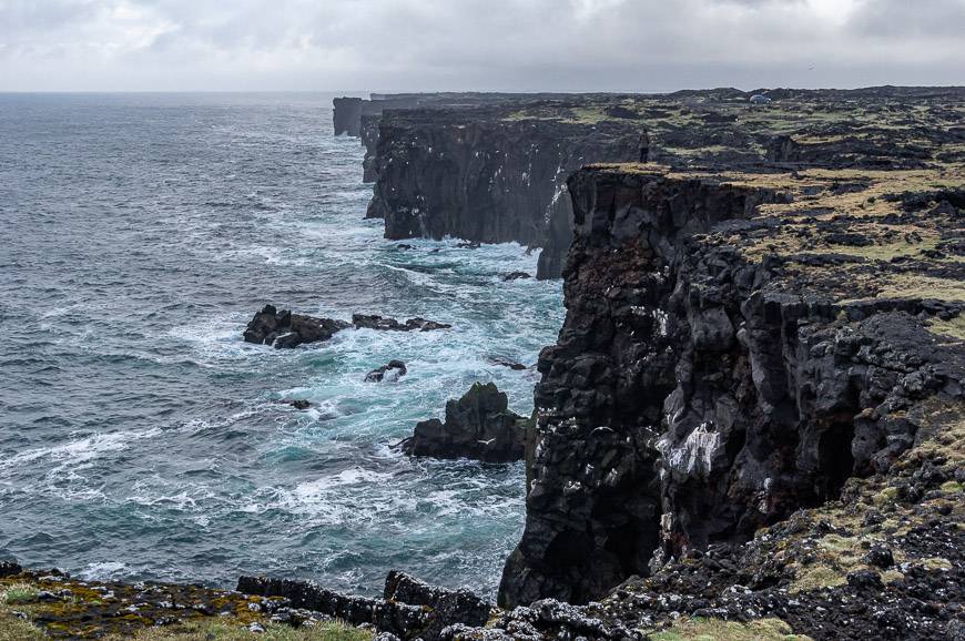 The fantastic bird cliffs at the western end of the Snaefellsnes Peninsula