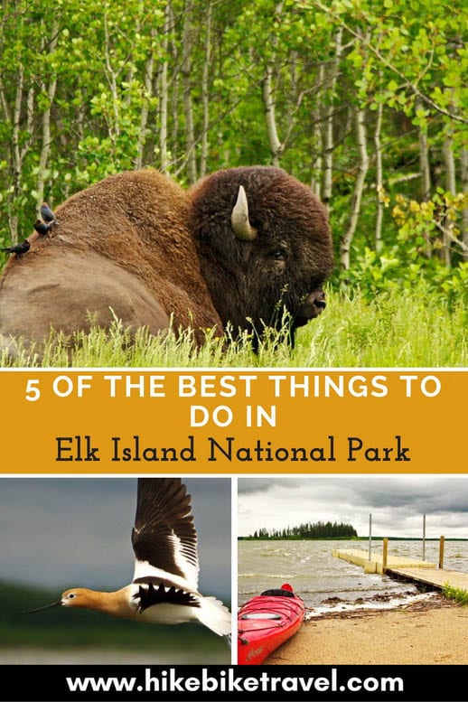 5 Fantastic Things To Do In Elk Island National Park Hike