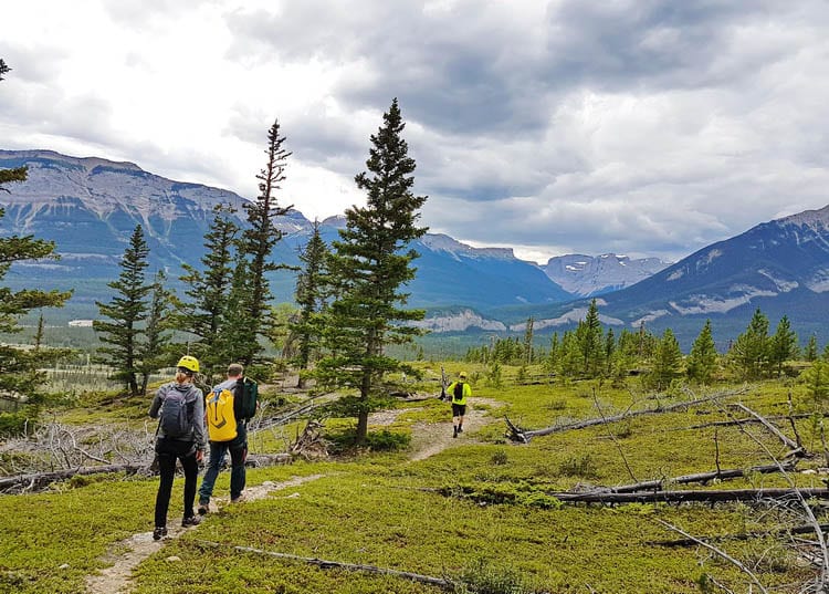 Canyoning: The Most Amazing Adventure You'll Want to Try in Jasper