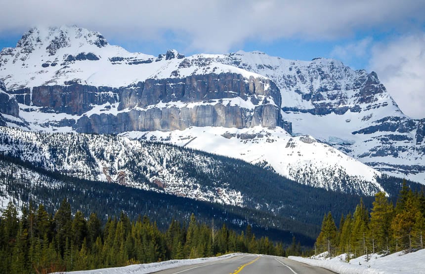 Un aspect légèrement plus neigeux au début du printemps