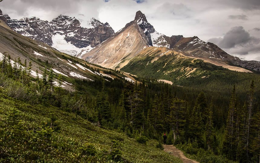 Twee minuten tot de Parker Ridge Trail vlak voor de Columbia Icefields