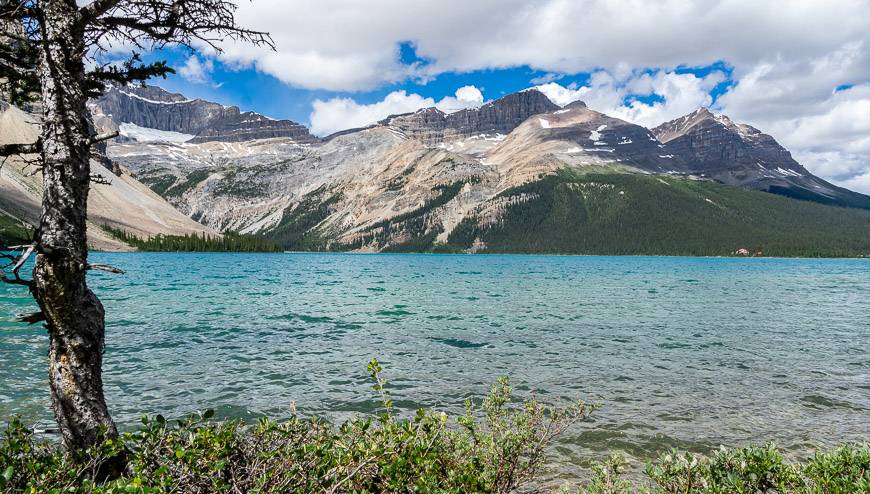 Explore a spectacular landscape along the Icefields Parkway