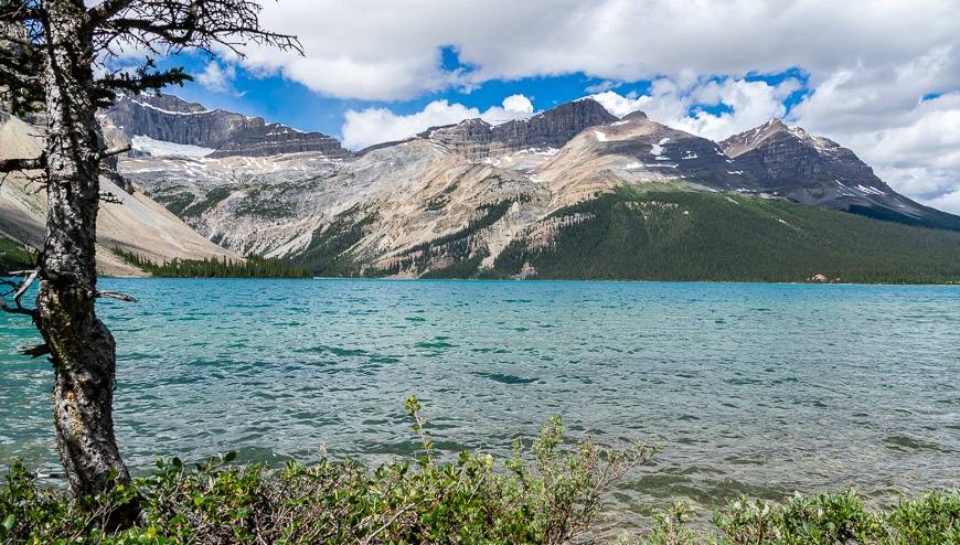 9 Stunning Icefields Parkway Hikes