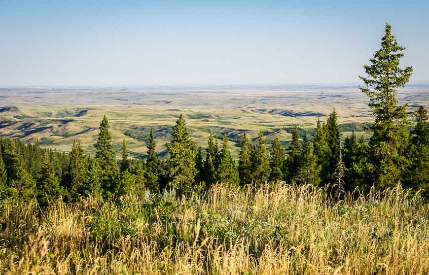 Views over the prairies on some of the hikes