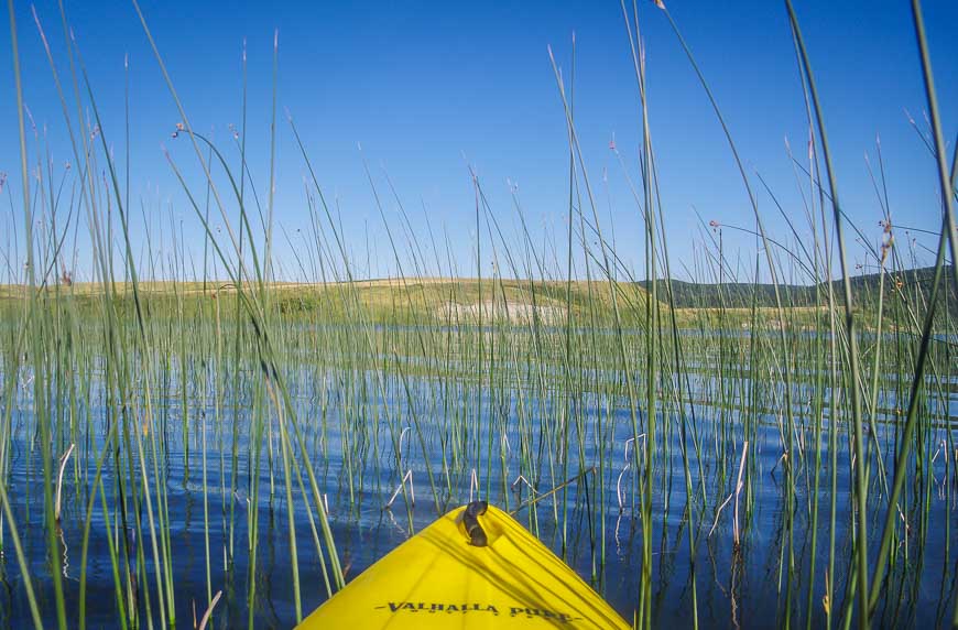 Kayaking through the reeds at the far end of Elkwater Lake