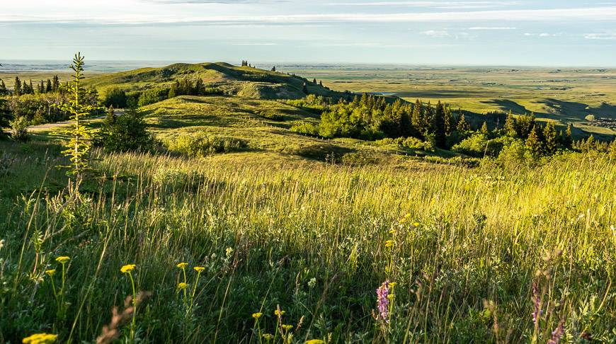 Medicine Hat Scenic Views