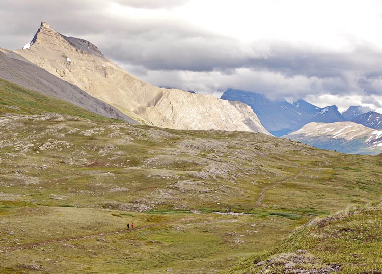 5 Stunning Hikes You'll Want to do Along the Icefields Parkway