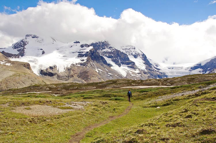 5 Stunning Hikes You'll Want to do Along the Icefields Parkway