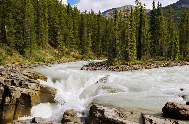 5 Stunning Hikes You'll Want to do Along the Icefields Parkway