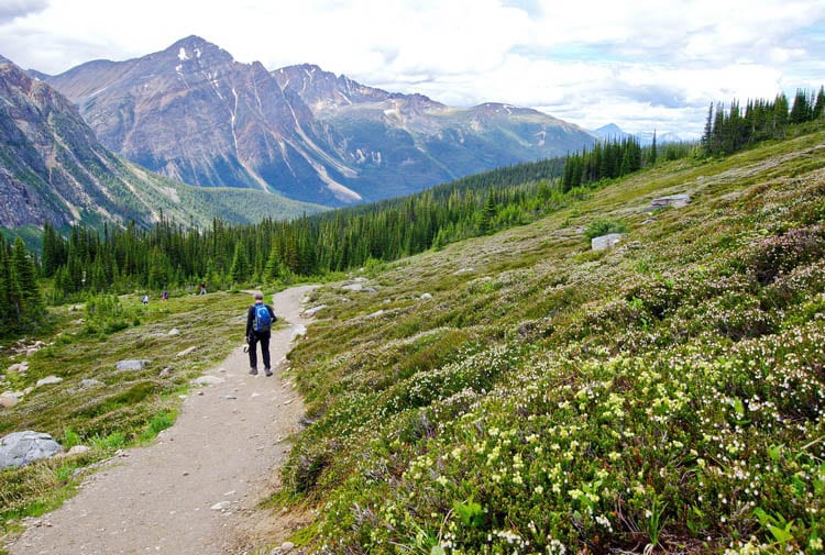 5 Stunning Hikes You'll Want to do Along the Icefields Parkway