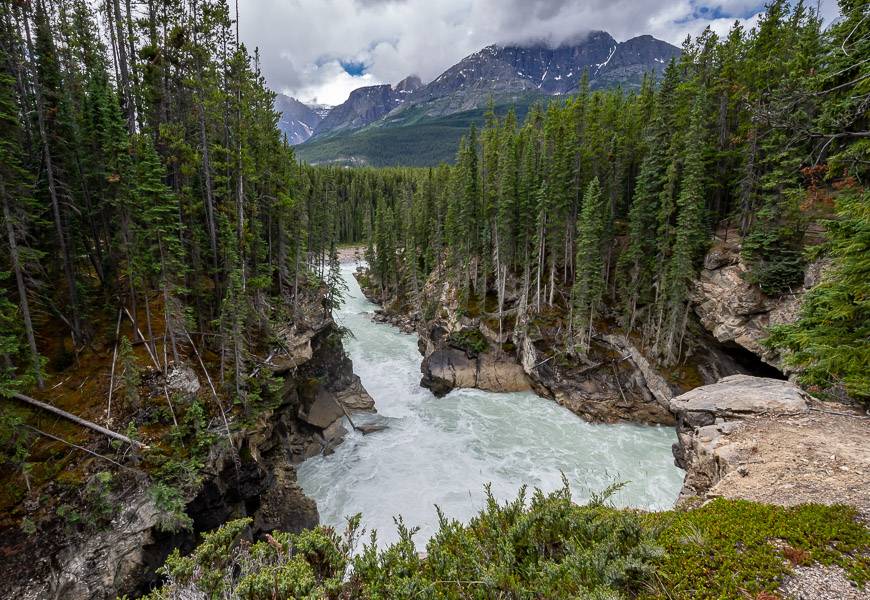 Sunwapta Falls hike on the Icefields Parkway