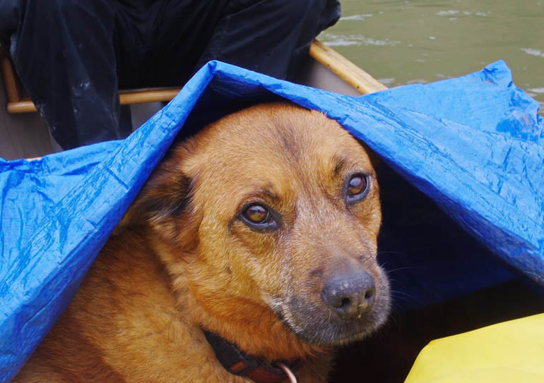 Paddling the Peace: A Fabulous Alberta Adventure