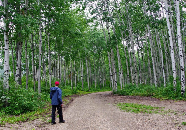 Paddling the Peace: A Fabulous Alberta Adventure