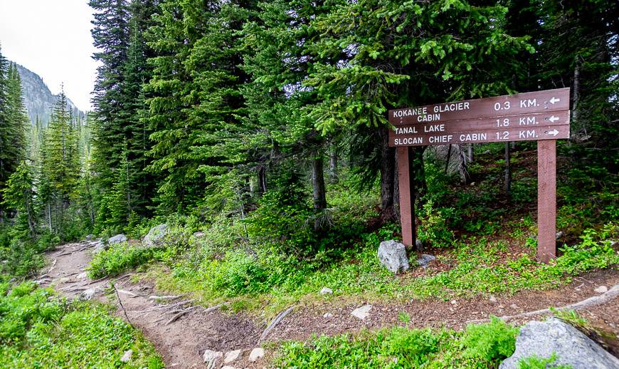 There is occasional signage along the trail