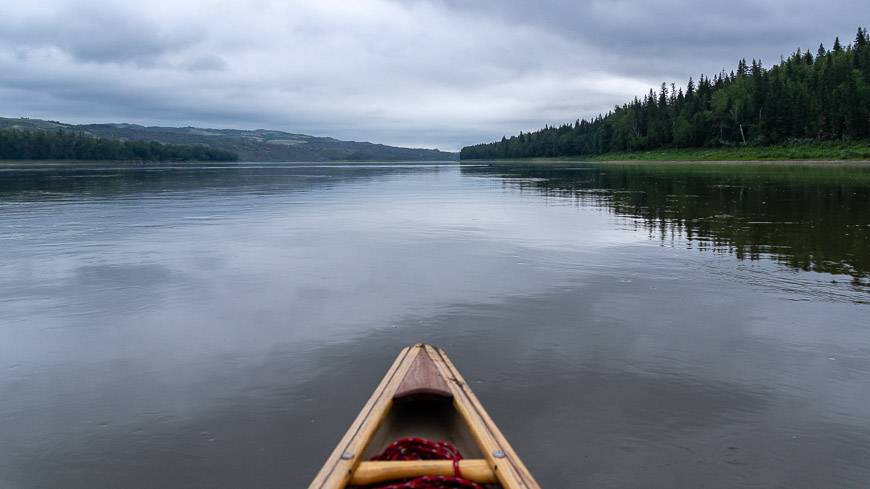 Just ahead on the right we see a black bear swimming across the Peace River at a good clip