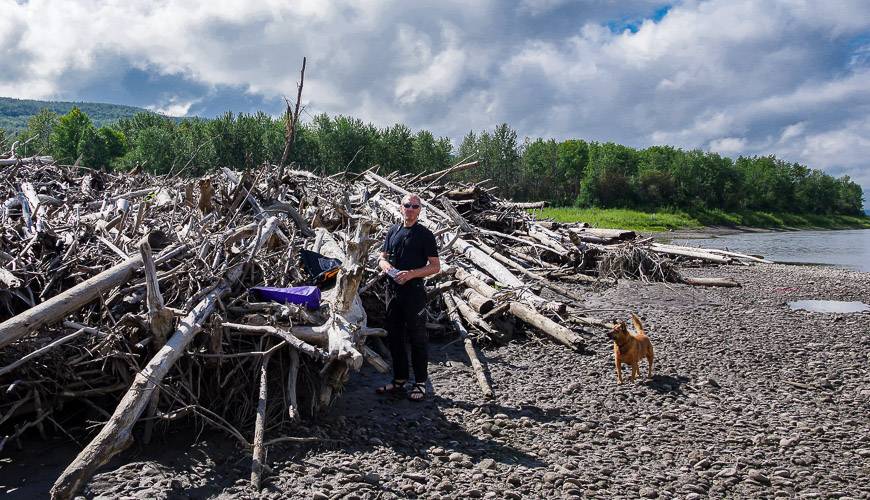 You get some idea of the power of the Peace River when its running when you see piles of wood like this