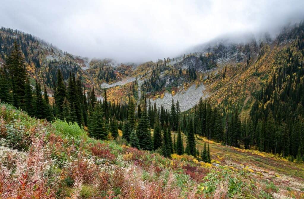 Fall colours near Nelson are glorious on the hike up to the White Queen Trail