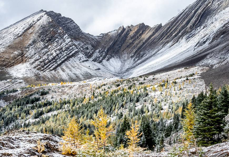 A little snow got everyone off the trail and added such beauty to this larch hike especially when the sun made a brief appearance