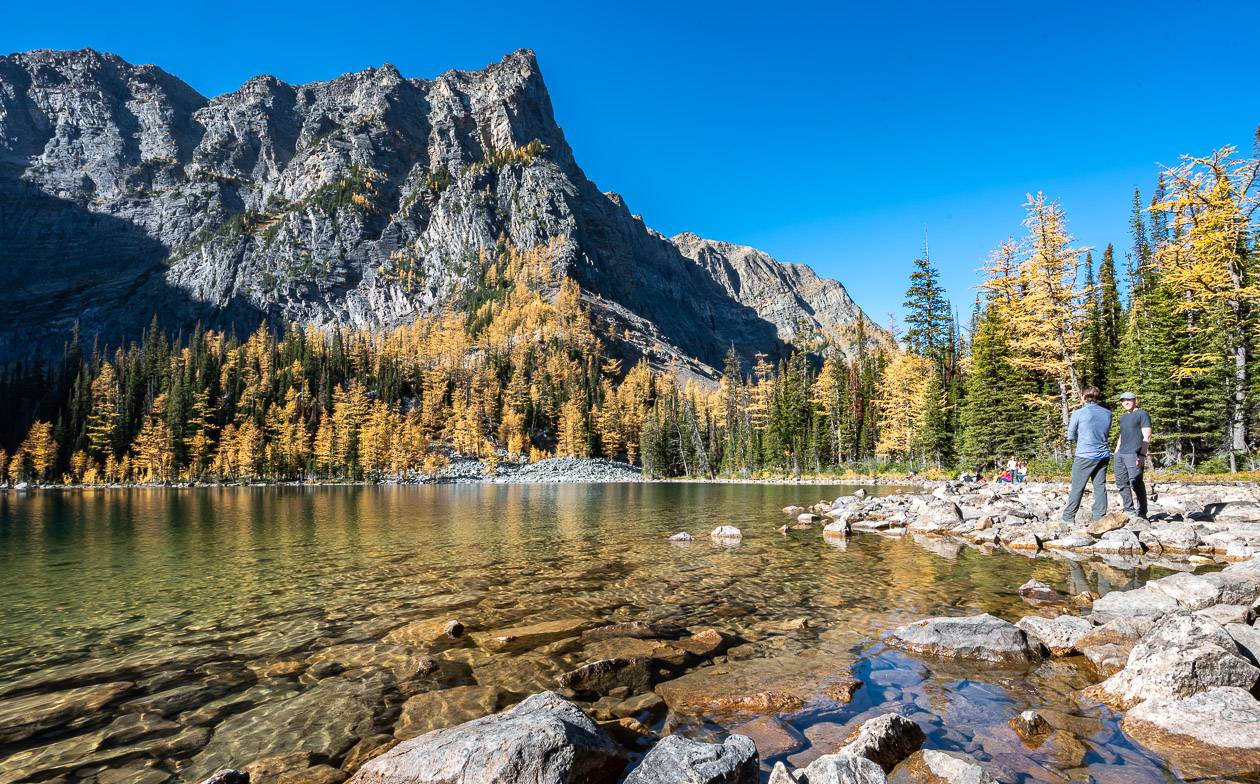 Arnica Lake Trail Hike, Banff National Park | Hike Bike Travel