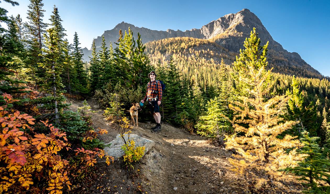 A great blast of colour on the way up to Arnica Lake, Twin Lakes and Gibbons Pass